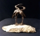 ibis
