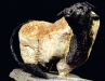 ulisse